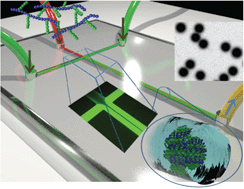 Graphical abstract: Microfluidic assisted self-assembly of chitosan based nanoparticles as drug delivery agents