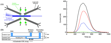 Graphical abstract: Spatially resolved electrochemical sensing of chemical gradients