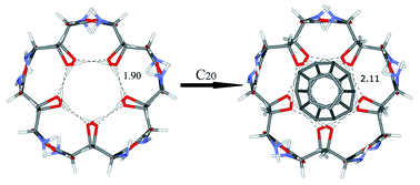 Graphical abstract: Possible cage-like nanostructures formed by amino acids