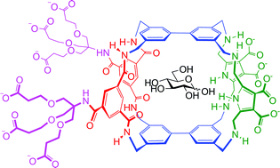 Graphical abstract: New H-bonding patterns in biphenyl-based synthetic lectins; pyrrolediamine bridges enhance glucose-selectivity