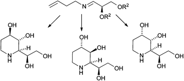 Graphical abstract: Stereoselective synthesis and biological evaluation of d-fagomine, d-3-epi-fagomine and d-3,4-epi-fagomine analogs from d-glyceraldehyde acetonide as a common building block