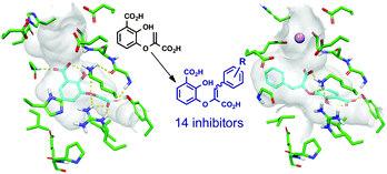 Graphical abstract: Synthesis and evaluation of M. tuberculosis salicylate synthase (MbtI) inhibitors designed to probe plasticity in the active site