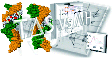 Graphical abstract: Rationalising sequence selection by ligand assemblies in the DNA minor groove: the case for thiazotropsin A