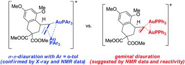Graphical abstract: σ–π-Diauration as an alternative binding mode for digold intermediates in gold(i) catalysis