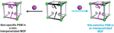 Graphical abstract: Site-selective cyclometalation of a metal–organic framework