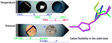 Graphical abstract: Pinning down the solid-state polymorphism of the ionic liquid [bmim][PF6]