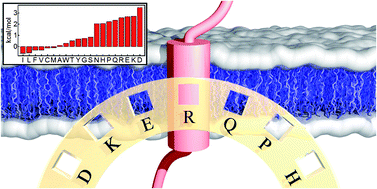 Graphical abstract: Assembly and stability of α-helical membrane proteins