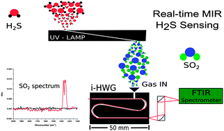 Graphical abstract: Monitoring of hydrogen sulfide via substrate-integrated hollow waveguide mid-infrared sensors in real-time