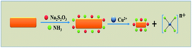 Graphical abstract: Ultrasensitive colorimetric detection of Cu2+ using gold nanorods