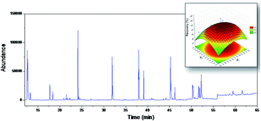 Graphical abstract: Box–Behnken design applied to ultrasound-assisted extraction for the determination of polycyclic aromatic hydrocarbons in river sediments by gas chromatography/mass spectrometry