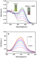 Graphical abstract: A near-infrared colorimetric fluorescent chemodosimeter for the detection of glutathione in living cells