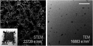 Graphical abstract: Factors influencing quantitative liquid (scanning) transmission electron microscopy