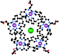 Graphical abstract: Anion receptor chemistry: highlights from 2011 and 2012