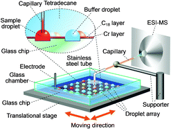 Graphical abstract: A multifunctional microfluidic droplet-array chip for analysis by electrospray ionization mass spectrometry