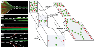 Graphical abstract: Modulation of aspect ratio for complete separation in an inertial microfluidic channel