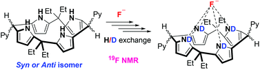 Graphical abstract: The syn and anti isomers of the porphyrinogen-like precursor of calix[4]phyrin: isolation, X-ray structure, anion binding and fluoride-ion-mediated proton–deuterium exchange studies