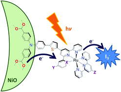 Graphical abstract: Novel triphenylamine-modified ruthenium(ii) terpyridine complexes for nickel oxide-based cathodic dye-sensitized solar cells