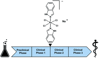 Graphical abstract: NKP-1339, the first ruthenium-based anticancer drug on the edge to clinical application