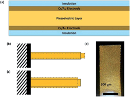 Graphical abstract: DNA hybridization detection with 100 zM sensitivity using piezoelectric plate sensors with an improved noise-reduction algorithm