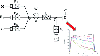 Graphical abstract: A multi-pumping flow system for acute toxicity bioassay using the Vibrio fischeri bacteria