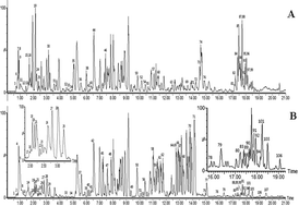 Graphical abstract: Rapid discovery and global characterization of multiple constituents from Kai-Xin-San using an integrated MSE data acquisition mode strategy based on ultra-performance liquid chromatography coupled to electrospray ionization/quadrupole-time-of-flight mass spectrometry