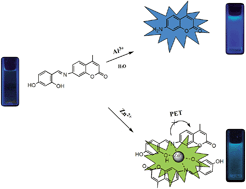 Graphical abstract: The design of a simple fluorescent chemosensor for Al3+/Zn2+via two different approaches