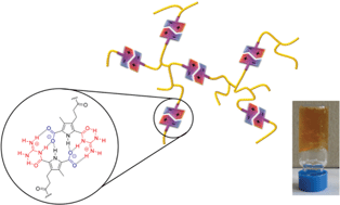 Graphical abstract: Transforming polyethylenimine into a pH-switchable hydrogel by additional supramolecular interactions