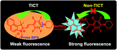 Graphical abstract: A twisted intramolecular charge transfer probe for rapid and specific detection of trace biological SO2 derivatives and bio-imaging applications