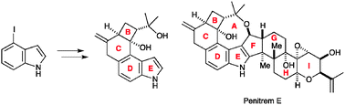 Graphical abstract: Synthetic studies toward penitrem E: enantiocontrolled construction of B–E rings