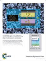 Graphical abstract: Back cover