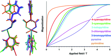 Graphical abstract: Influence of the coligand in the magnetic properties of a series of copper(ii)–phenylmalonate complexes