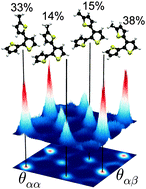 Graphical abstract: A combined MD/QM and experimental exploration of conformational richness in branched oligothiophenes