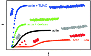 Graphical abstract: Cosolvent and crowding effects on the polymerization kinetics of actin