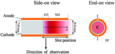 Graphical abstract: Ne i spectral line shapes in Grimm-type glow discharge