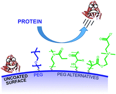 Graphical abstract: Antibiofouling polymer interfaces: poly(ethylene glycol) and other promising candidates