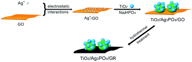 Graphical abstract: Bifunctional TiO2/Ag3PO4/graphene composites with superior visible light photocatalytic performance and synergistic inactivation of bacteria