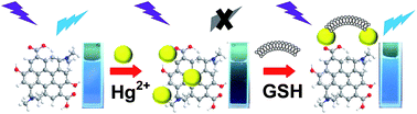 Graphical abstract: Nitrogen-doped graphene quantum dots-based fluorescent probe for the sensitive turn-on detection of glutathione and its cellular imaging