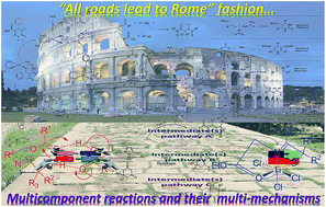 Graphical abstract: What do we know about multicomponent reactions? Mechanisms and trends for the Biginelli, Hantzsch, Mannich, Passerini and Ugi MCRs