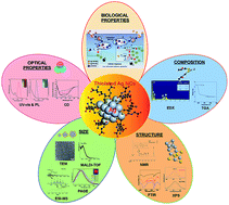 Graphical abstract: Recent advances in the synthesis, characterization, and biomedical applications of ultrasmall thiolated silver nanoclusters