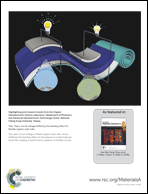 Graphical abstract: Inside back cover