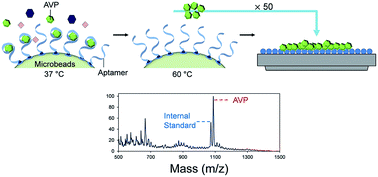 Graphical abstract: Integrated microfluidic aptasensor for mass spectrometric detection of vasopressin in human plasma ultrafiltrate