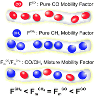 Graphical abstract: Relationship between single-file diffusion of mixed and pure gases in dipeptide nanochannels by high field diffusion NMR