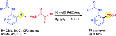 Graphical abstract: Palladium-catalyzed C–H bond carboxylation of acetanilides: an efficient usage of N,N-dimethyloxamic acid as the carboxylate source