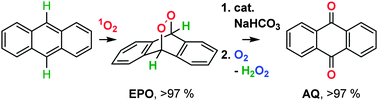 Graphical abstract: Base catalysed decomposition of anthracene endoperoxide