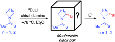 Graphical abstract: Mechanistic interrogation of the asymmetric lithiation-trapping of N-thiopivaloyl azetidine and pyrrolidine