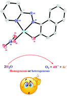 Graphical abstract: New findings and the current controversies for water oxidation by a copper(ii)-azo complex: homogeneous or heterogeneous?