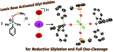 Graphical abstract: Reductive silylation of Cp*UO2(MesPDIMe) promoted by Lewis bases