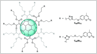 Graphical abstract: Exploring carbonic anhydrase inhibition with multimeric coumarins displayed on a fullerene scaffold