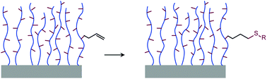 Graphical abstract: Study of thiol–ene chemistry on polymer brushes and application to surface patterning and protein adsorption