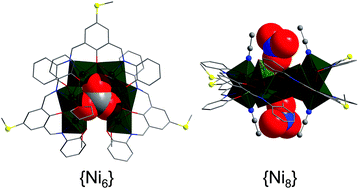 Graphical abstract: Thioether-terminated nickel(ii) coordination clusters with {Ni6} horseshoe- and {Ni8} rollercoaster-shaped cores